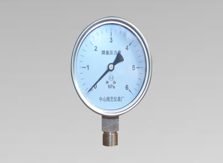 膜盒壓力表YE-100 0~6KPa
