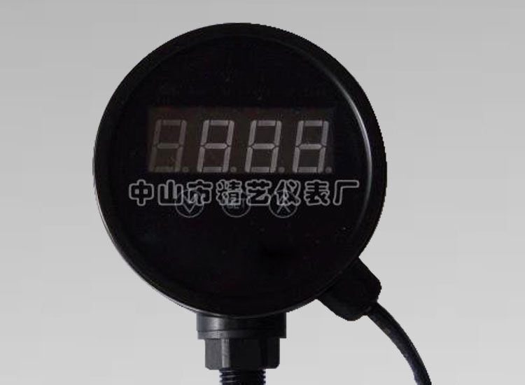 徑向數(shù)顯壓力表