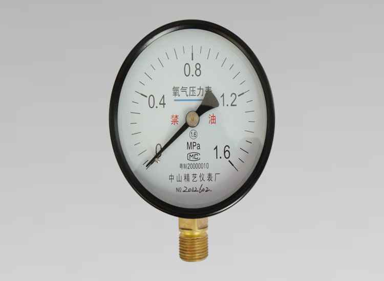 氧氣壓力表YO100